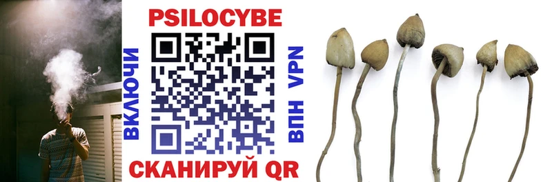 Псилоцибиновые грибы прущие грибы  Усть-Катав 